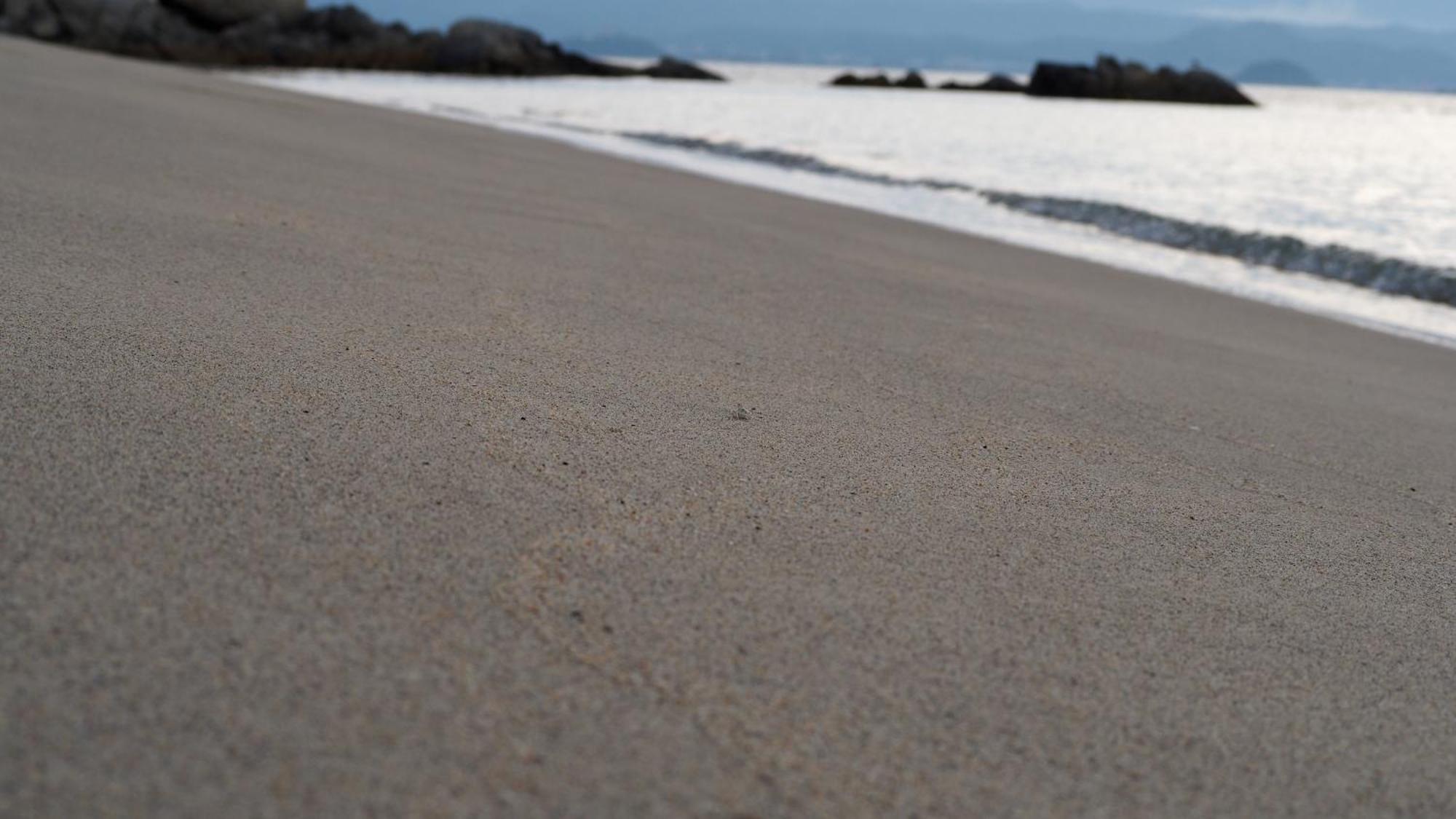 Alfacio Resort Stay Itoshima Bagian luar foto